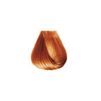 Краска для волос 8/34 блондин светло-золотистый медный BBcos InnovationEvo Hair Color Cream 100 мл Краска для волос 8/34 блондин светло-золотистый медный BBcos InnovationEvo Hair Color Cream 100 мл