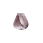 Краска для волос 12/21 блондин платиновый фиолетовый пепельный BBcos InnovationEvo Hair Color Cream 100 мл Краска для волос 12/21 блондин платиновый фиолетовый пепельный BBcos InnovationEvo Hair Color Cream 100 мл