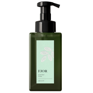 Пінка для миття рук Casei Scented Soap Fjor 450 мл