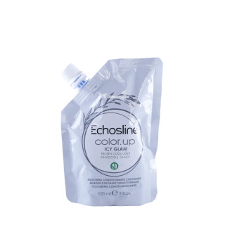 Тонуюча маска для волосся (крижаний гламур) Echosline Color Up Icy Glam Mask 150 мл