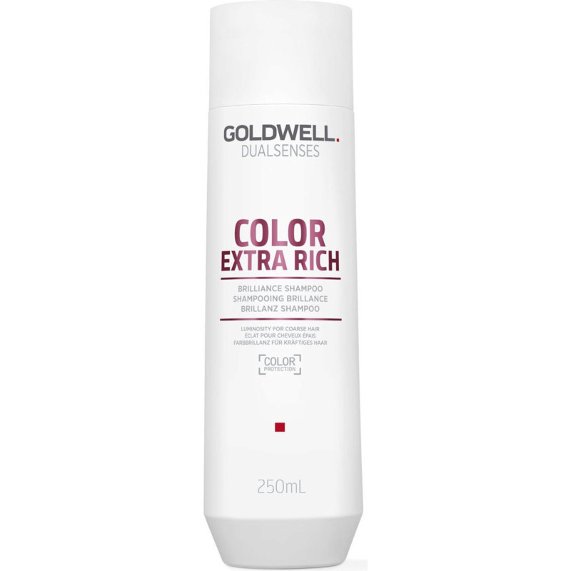 Шампунь для сохранения цвета толстых и пористых волос Goldwell DSN Color Extra Rich 250 мл Шампунь для сохранения цвета толстых и пористых волос Goldwell DSN Color Extra Rich 250 мл