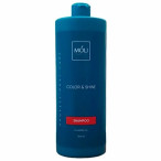 Шампунь для фарбованого волосся Moli Cosmetics Color & Shine 1000 мл Шампунь для фарбованого волосся Moli Cosmetics Color & Shine 1000 мл