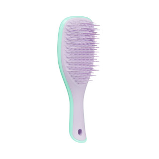 Щітка для волосся Tangle Teezer The Wet Detangler Mini Wisteria Leaf (5060630041311)