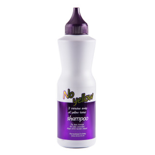 Шампунь для волосся з антижовтим ефектом Clever Hair Cosmetics Argan Oil Keratin No Yellow Shampoo 500 мл